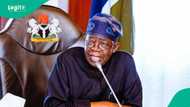 Tinubu ya kwantar wa 'yan Najeriya hankali, ya yi alkawarin romon dimukradiyya