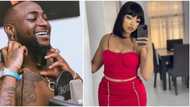 Davido and Nengi unfollow each other on Instagram, fans react
