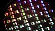 Markets rise as Trump chip exemptions boost tech giants