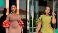 BBNaija's Bambam cries out after man told his wife to take her life: "This is not her first time"
