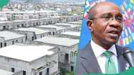 Is Emefiele owner of 753 forfeited duplexes? EFCC's court document mentions the accused