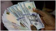 APC, PDP Primaries: Naira slumps heavily against dollar as aspirants mop up hard currency