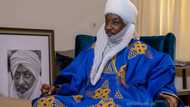 Muhammadu Sanusi II Ya Fayyace Dalilan Zuwa Aso Rock da Abin da Ya Fadawa Tinubu