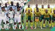 AFCON: Former South African player predicts winner of Bafana Bafana vs Super Eagles semi-final match