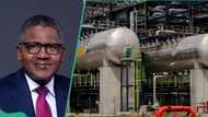 “Best quality in the world”: Analysts gives new prediction as Dangote announces sale of fuel