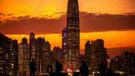 Chinese cluster now world's top innovation hotspot: UN