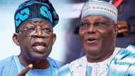 2023 polls: Mass defection hits APC as hundreds of members dump Tinubu for Atiku