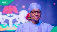 Border closure, 5 other economic events that shaped Buhari’s regime