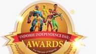 2021 Heroes Award: Indomie Kick-Off Nationwide Search for Extraordinary Children