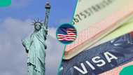 Full list: 5 US work visas foreigners can use for permanent residency