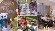 Davido's Imade throws Easter picnic with exotic fruits, balloons, cute bunnies, and other fun stuff