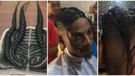 Mixed reactions as man gets braided wig installed in trending video: "I fit breakup with my bf"