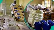 AGOA extended: What two more years of duty-free US trade means for Nigerian exporters