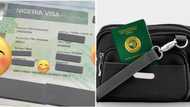 "Only N18k": Visa used to enter Nigeria surfaces and goes viral on social media, Nigerians react to document