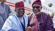 Tinubu at 70: A living legend - Nigerian governor celebrates APC national leader