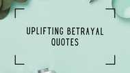 Uplifting betrayal quotes to help you get through the tough times