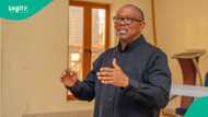 2027 presidential elections: Is Peter Obi considering OPP, POP as options? Obidient Movement speaks