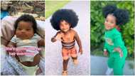"She's never barbed it": Video of cute baby rocking full natural hair gets many admiring her