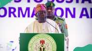 Hardship: What I discussed with governors about food prices, importation, Tinubu opens up