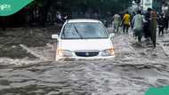 Hundreds dead as devastating rainfall triggers heavy flood, ravages communities