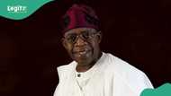 Good news as Nigeria's revenue hits N6.9 trillion in four months after FG plugged leakages