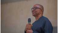 Is Peter Obi broke? Details emerge as UK govt dissolves company of Labour Party flagbearer