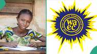 WAEC 2024: 3 success stories from this year's WASSCE that will motivate you