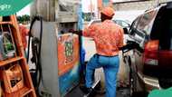 Kano, Lagos among 10 states with cheapest petrol prices in Nigeria