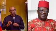 Real reason why police disrupted Peter Obi's rally in Ebonyi state