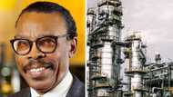 Rewane To FG: Dangote refinery is not a solution to oil Problem; details what will actually happen