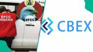 EFCC traces CBEX scam funds to four countries, speaks on investors' money refund