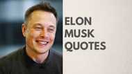 35 of the most inspirational Elon Musk quotes