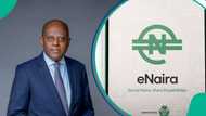 CBN to boost financial inclusion with eNaira, alternative payment channels
