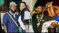 Chivido: Video shows Davido and friends in festive mood as they prepare for his wedding in Lagos