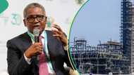 After Dangote refinery commences production, investors rake in huge profit, cement firm shares surge