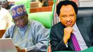 APC lawmaker Doguwa says winning elections is not only by votes, Shehu Sani reacts