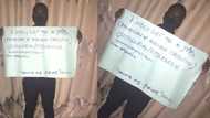 Desperate man carries cardboard to beg for job, his photos go viral