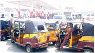 Fuel scarcity: We can’t continue to sell petrol at N165 per litre, marketers insist