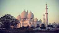 Fascinating facts about the Sheikh Zayed Mosque