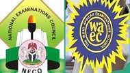 Can I combine WAEC and NECO for admission? A list of universities that accept combinations