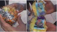 Nigerian finds tied photos of man and lady in pineapple on seashore, vows to open it for 3 days, shares photos