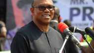 Yanzu-Yanzu: Peter Obi ya lashen shugaban kasa a jihar Enugu, an fadi matakin su Atiku da Tinubu