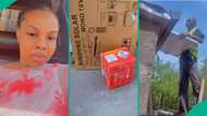 Student installs solar electricity, shares how she convinced landlord to allow panels on roof