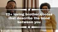 75+ loving brother quotes that describe the bond between you