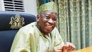 Ganduje is on mission to destabilise north - Arewa youth leader reacts over creation of new emirates in Kano