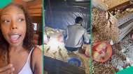 American lady follows her man home, invests money into boyfriend's poultry business, people react