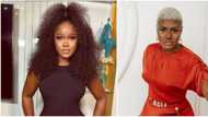 BBNaija All Stars: Ceec reaffirms beef, says she will never like Alex in the next 100 years