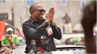 2023 elections: Why we don't play politics of money - Peter Obi