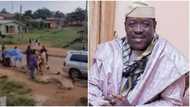 "Once a boxer always a boxer": Chaos as Ogogo beats up tout for dragging his 'agbada' after dropping money