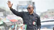 “Peter Obi not destined to be president in 2023”, says Ohanaeze Ndigbo